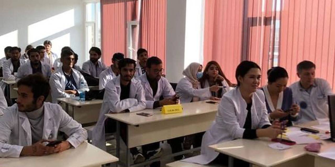 Биохимия в человеческом организме