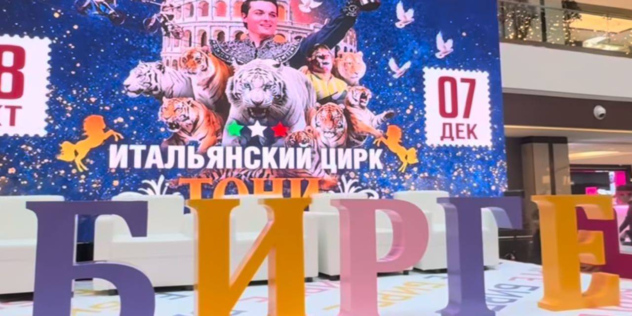 ​​​​​​​26 октября 2025 года студенты нашего университета приняли активное участие в качестве волонтеров на Инклюзивном фестивале социального предпринимательства «Бирге», организованном общественным благотворительным фондом «Жаныртуу»